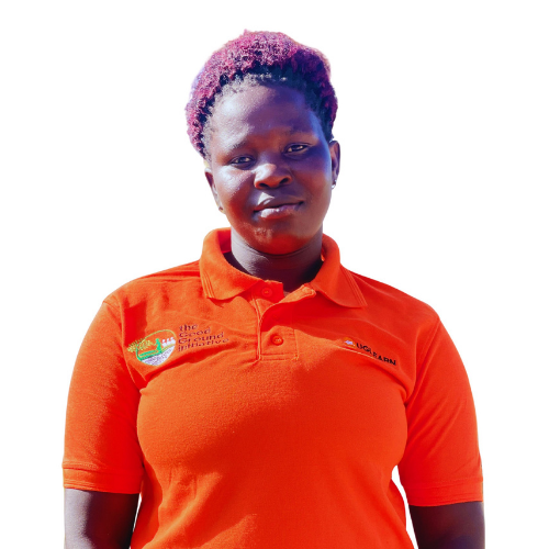 Auma Carol