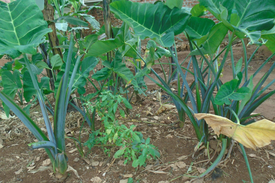 Blog Image